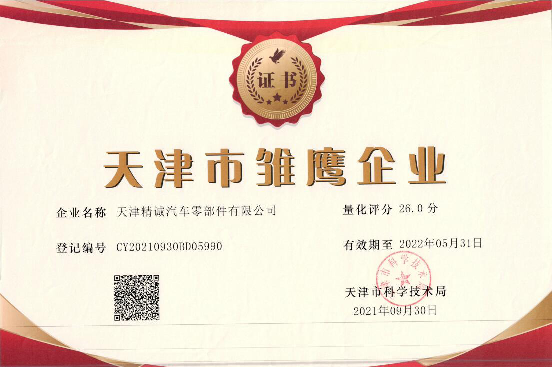 2023年天津市雏鹰企业证书